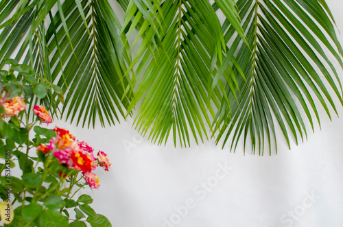 a pile of green palm leaves on a white background with copy space. designed for Palm Sunday greeting illustration. Palm leaves on a white background. Illustration for Palm Sunday. Palm leaves. photo