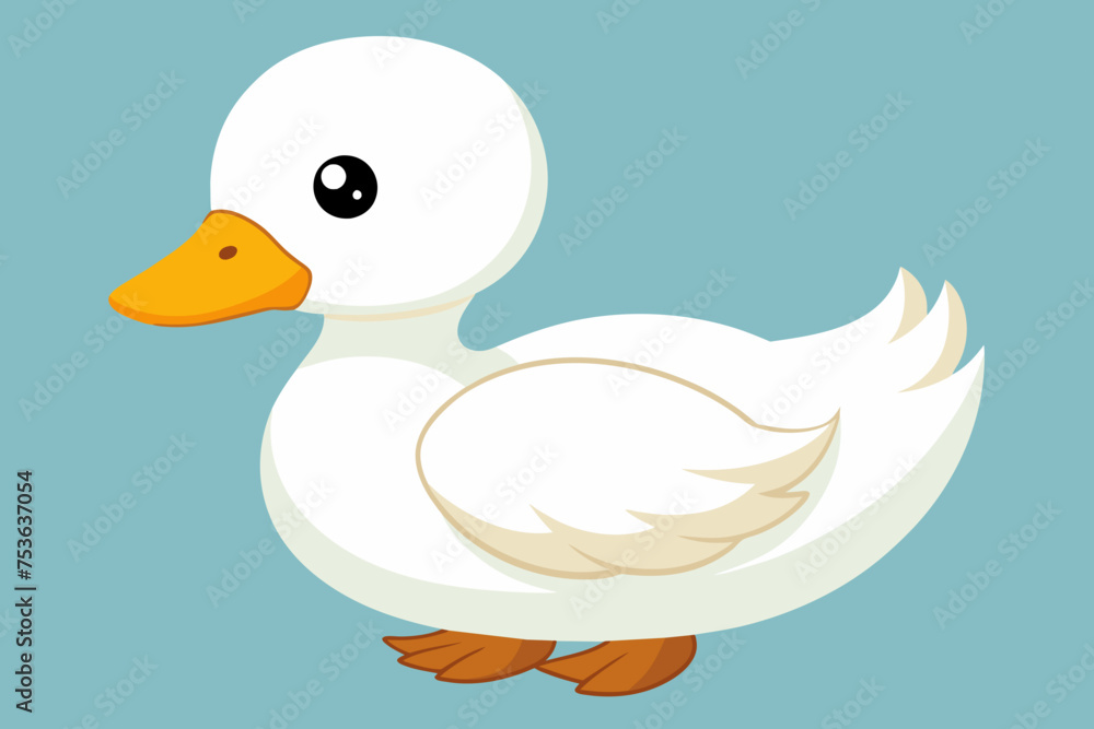 Cute baby duck vector illustration Cute baby duck vector illustration