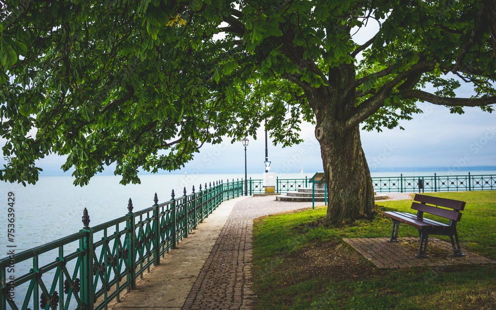 Fototapeta premium Parkbank unter einem Baum am Ufer eines Sees