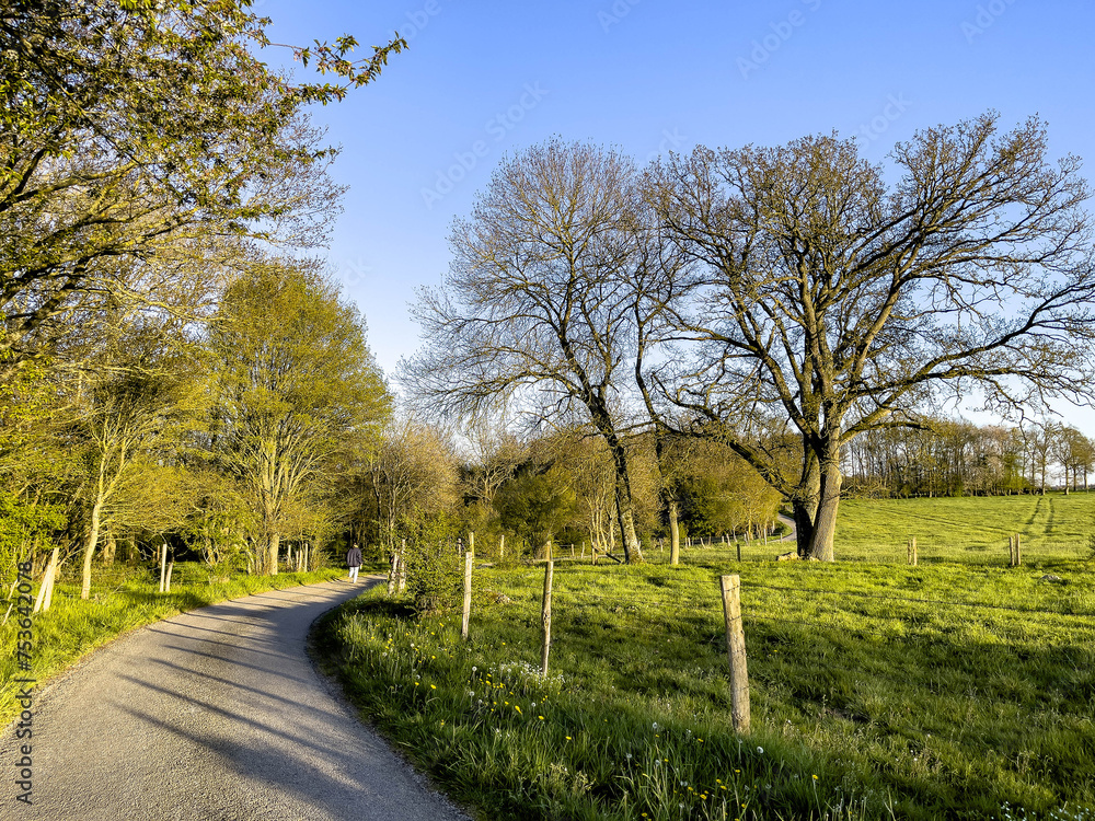 Country road in Le Mesnil en Ouche, Eure, Normandy, France