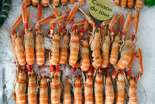 Fresh langoustine for sale at traditional fish market, Trouville, Normandy, France photo