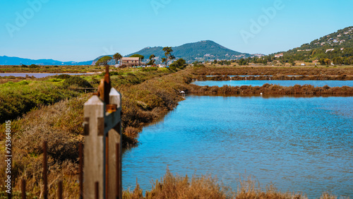 Fotografi Discovery of the salt marshes of the south of France in Hyères les palmiers, in