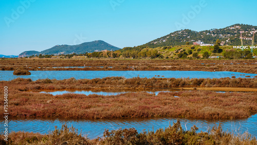 фотографія Discovery of the salt marshes of the south of France in Hyères les palmiers, in