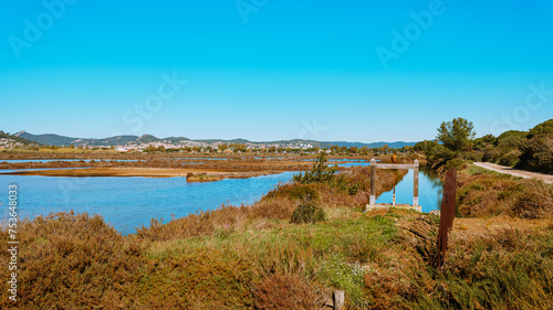 Fotografi Discovery of the salt marshes of the south of France in Hyères les palmiers, in