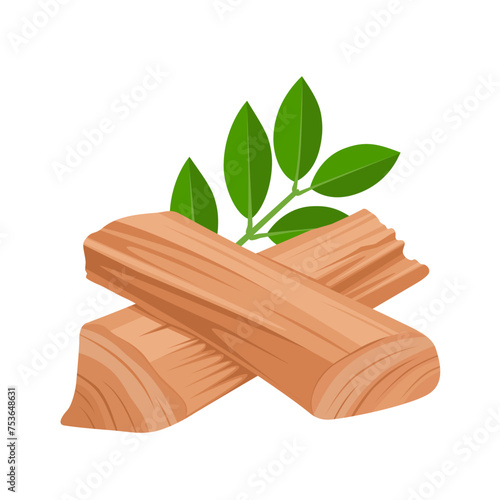 Vector illustration, sandalwood with green leaves, isolated on white background.