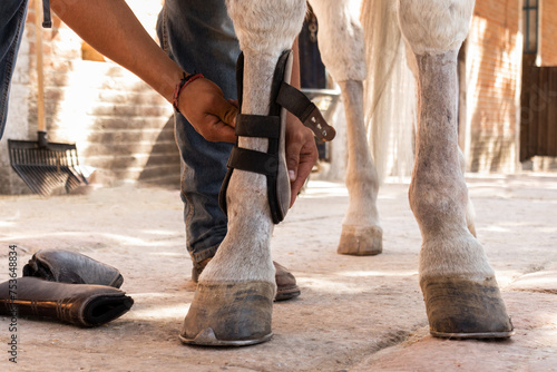 Farrier Fitting a Horse Boot on Hoof photo