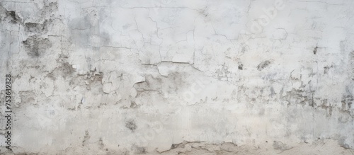 Textured wall background with white cement