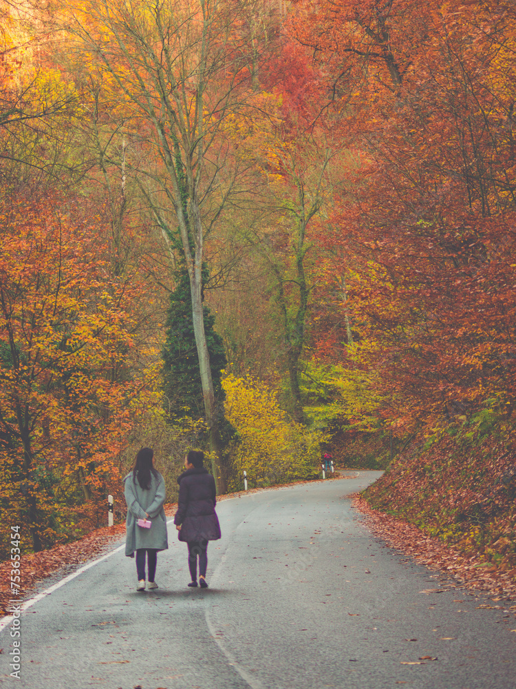 Personen spazieren entlang einer herbstlichen Straße in einem bunten Wald Personen spazieren entlang einer herbstlichen Straße in einem bunten Wald