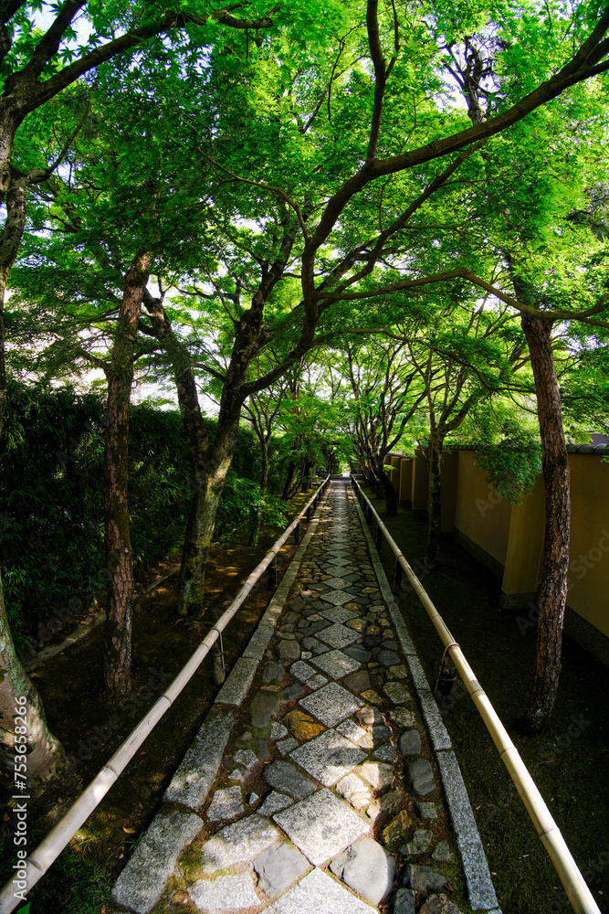 Obraz premium 京都鷹峯光悦寺の参道の風景