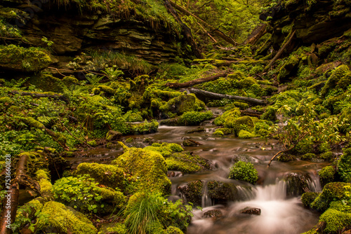 Wunderschöner Bachlauf in einem Wald umgeben von Moos