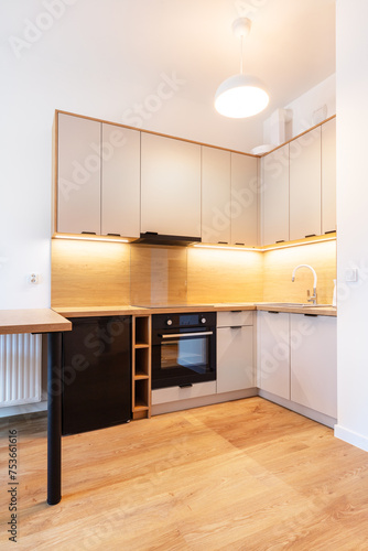 Картината върху платно Modern kitchen with wooden accents and built-in appliances