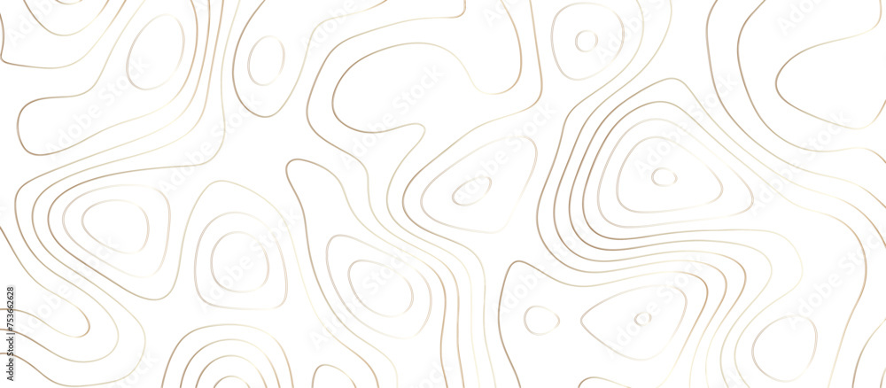 Abstract topography wavy line map background. vector illustration. topography map on land vector terrain Illustration. Black on white contours vector topography stylized height of the lines.	