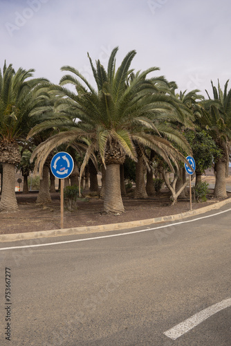 Rondo z palmami na środku, Wyspy Kanaryjskie, Fuerteventura, El Cotillo © Michał