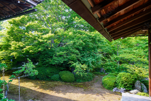 新緑が美しい頃の京都鷹峯源光庵の風景