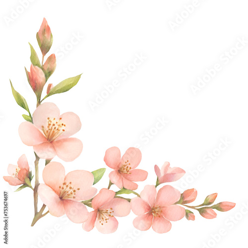 Watercolor pink flower isolated 