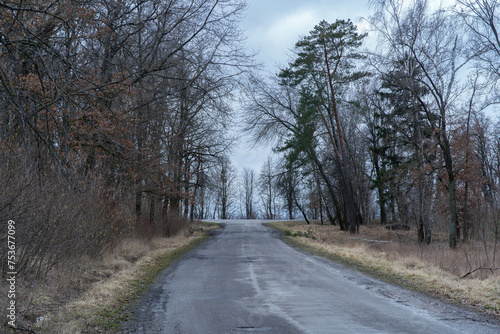 road in the forest