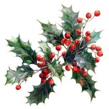 December Holly Bouquet A festive watercolor arrangement of holly embodying peace and goodwill