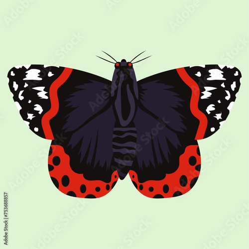 black and red butterfly beautiful vector