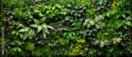 Wallpaper Mural Vertical garden wall green plants decoration Torontodigital.ca