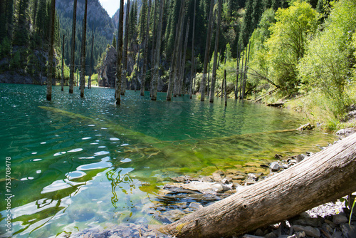 Picturesque mountain lake Kaindy with crystal clear water surrounded by dense coniferous trees. the submerged trees add to the mystery of this beautiful place. Kazakhstan