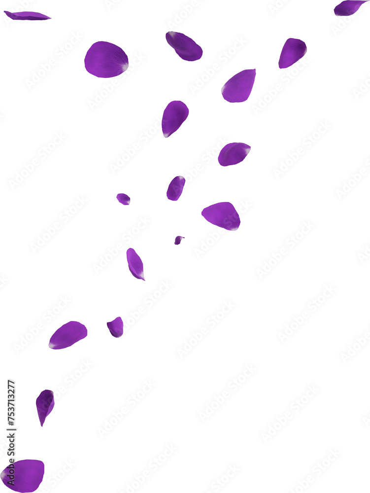 purple flower petals purple flower petals