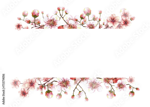 A blossoming branch from spring tree Hand drawn watercolor sakura, Japanese cherry or apple buds and flowers illustration. Springtime clipart Template for banner, card, label print Isolated background