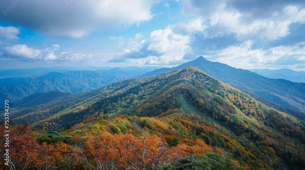 Green mountain in autumn 