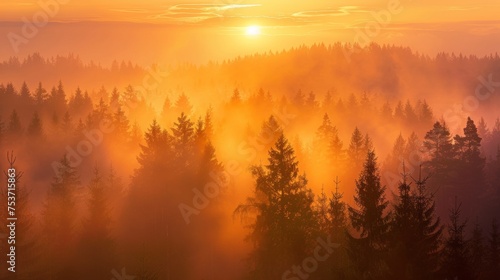 Golden sunrise over a misty forest