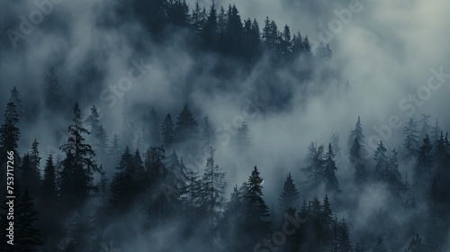 Mysterious fog over a dark grey forest landscape