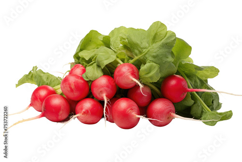 A Bunch of Radishes With Green Leaves