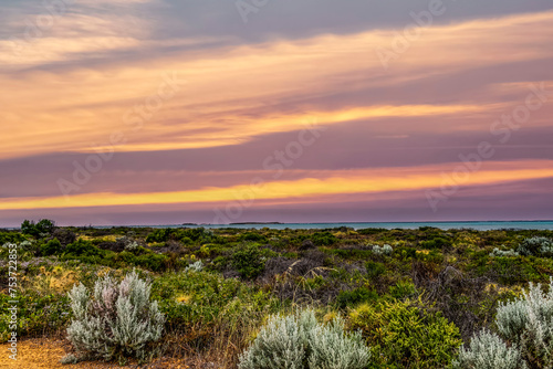 Obraz na płótnie Coastal landscape with vegetation in the foreground at sunset in Western Australia w salonie