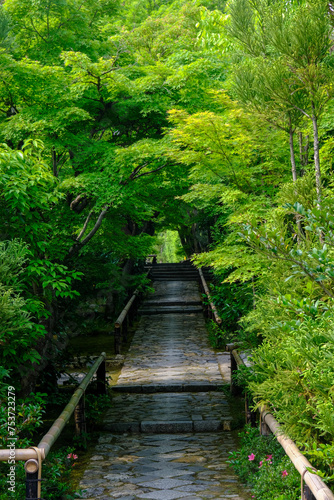 京都鷹峯光悦寺の参道の風景