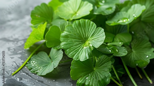 bunch of gotu kola leaves, celebrated for their cognitive-enhancing and skin-rejuvenating effects