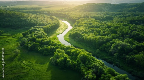 A serene aerial view of a lush green landscape