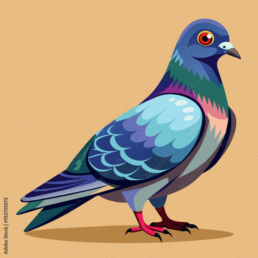 Fototapeta premium pigeon, dove, carrier pigeon, bird, poultry, avian, birdy, nestling, chick, auk, pet, vector, illustration, draw, cartoon, pretty, cute
