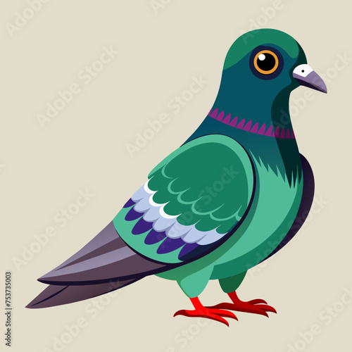 pigeon, dove, carrier pigeon, bird, poultry, avian, birdy, nestling, chick, auk, pet, vector, illustration, draw, cartoon, pretty, cute