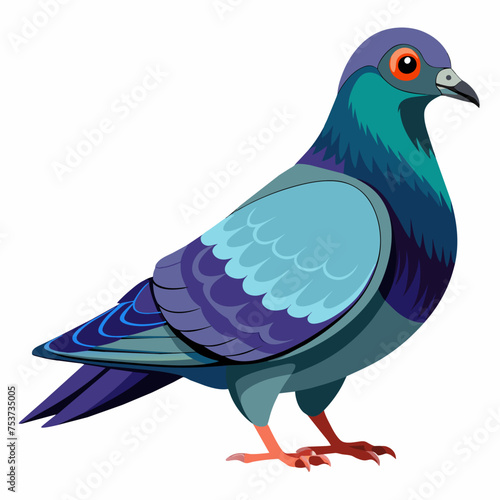 pigeon, dove, carrier pigeon, bird, poultry, avian, birdy, nestling, chick, auk, pet, vector, illustration, draw, cartoon, pretty, cute