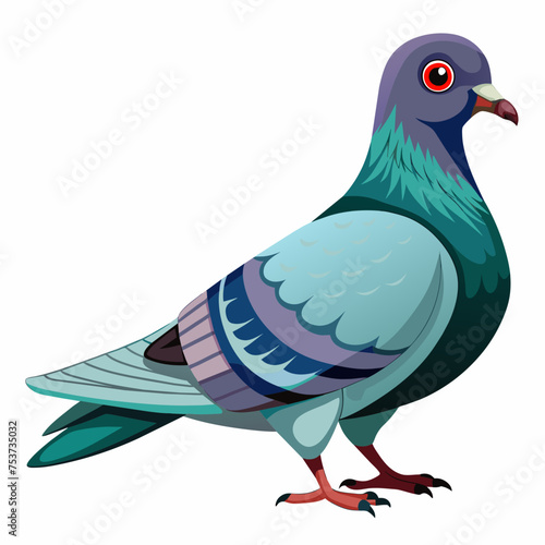 pigeon, dove, carrier pigeon, bird, poultry, avian, birdy, nestling, chick, auk, pet, vector, illustration, draw, cartoon, pretty, cute