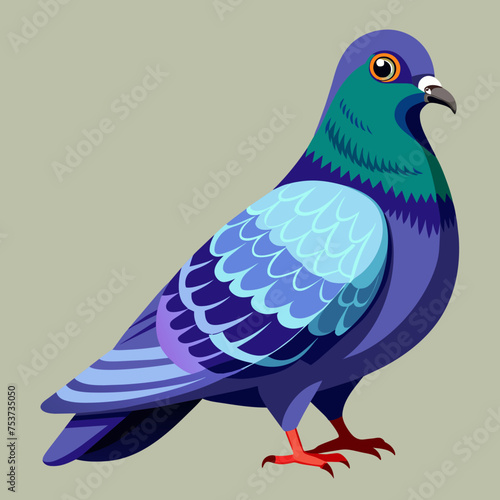 pigeon, dove, carrier pigeon, bird, poultry, avian, birdy, nestling, chick, auk, pet, vector, illustration, draw, cartoon, pretty, cute