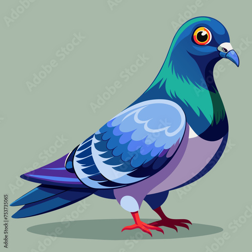pigeon, dove, carrier pigeon, bird, poultry, avian, birdy, nestling, chick, auk, pet, vector, illustration, draw, cartoon, pretty, cute
