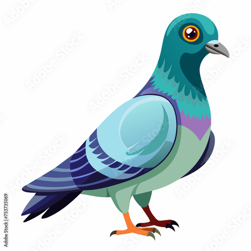 pigeon, dove, carrier pigeon, bird, poultry, avian, birdy, nestling, chick, auk, pet, vector, illustration, draw, cartoon, pretty, cute