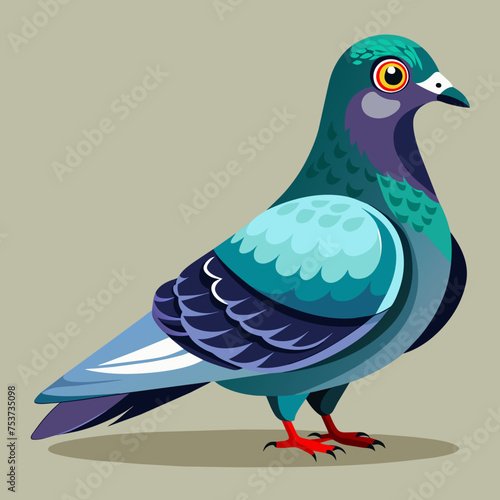 pigeon, dove, carrier pigeon, bird, poultry, avian, birdy, nestling, chick, auk, pet, vector, illustration, draw, cartoon, pretty, cute