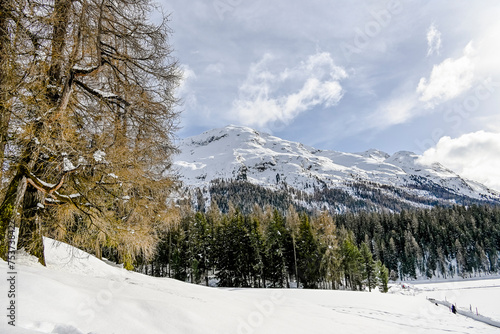 St. Moritz, St. Moritzersee, Oberengadin, Winterwanderweg, Winter, Stazerwald, Schneedecke, Eisfläche, Rosatschgruppe, Langlauf, Wintersport, Alpen, Graubünden, Schweiz photo