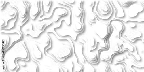 3D Papercut Stylized White topographic contour scheme and terrain. Topography grid map. Contour map background. Geographic line mountain relief. Abstract lines or wavy backdrop background.