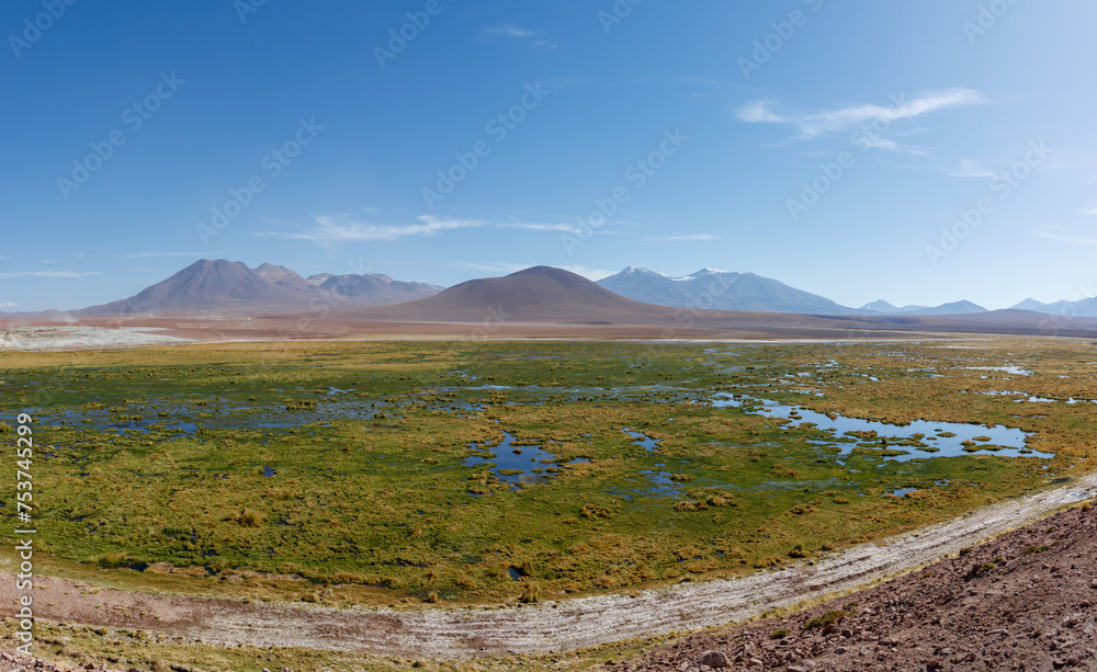 Scenic wetlands Vado Rio Putana between San Pedro de Atacama and the geysers of El Tatio in the Atacama desert in Chile, South America