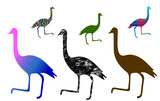 Emu colorful Silhouette vector