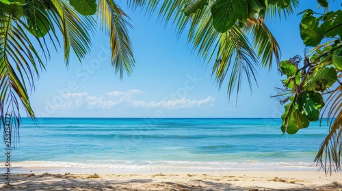 Tranquil Tropical Beach View with Palm Leaves Framing the Serene Ocean