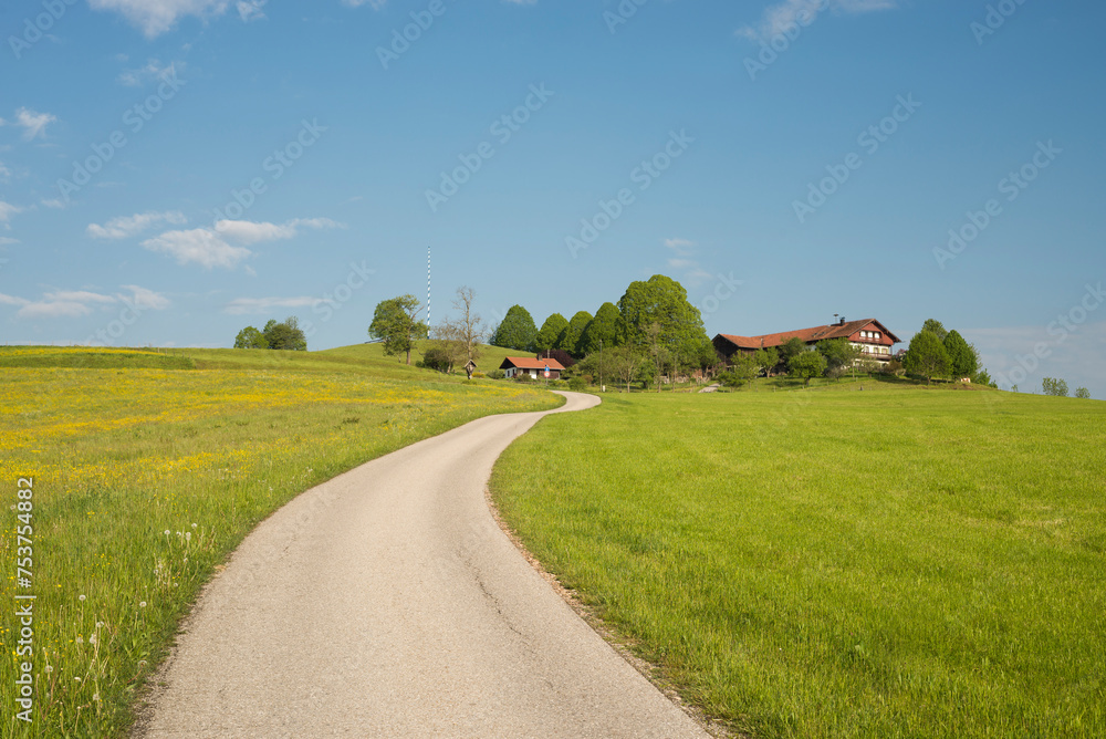 Strasse zu einem Bauernhof in Oberbayern umgeben von blühenden Wiesen an einem sonnigen Morgen im Frühling,Bayern,Deutschland