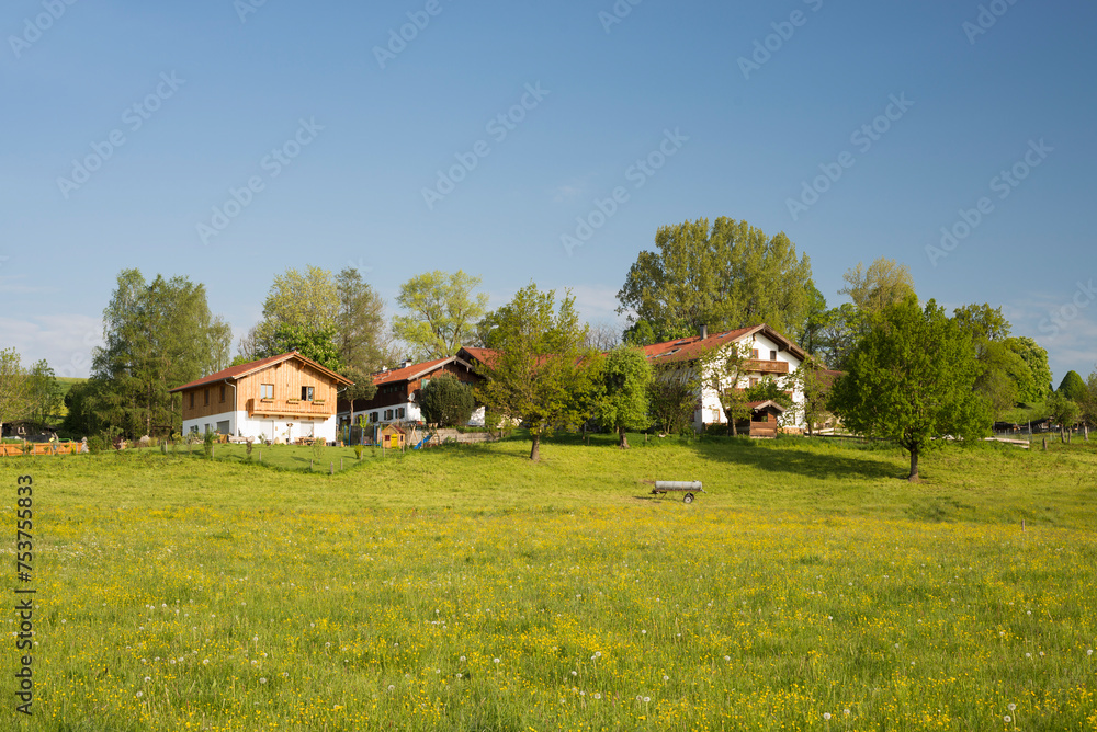 Bauernhof in Oberbayern umgeben von blühenden Wiesen an einem sonnigen Morgen im Frühling,Bayern,Deutschland