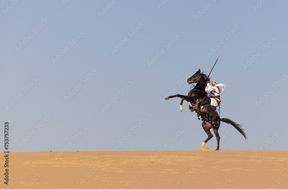 Obraz premium Rider in the desert of Saudi Arabia with his back stallion